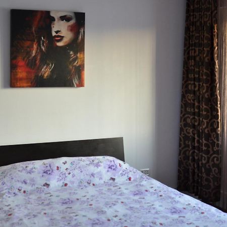 Vila Cu Trandafiri Cozy Apartments 2 Camere Bragadiru Exterior photo