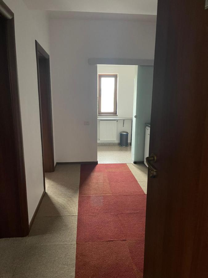 Vila Cu Trandafiri Cozy Apartments 2 Camere Bragadiru Exterior photo